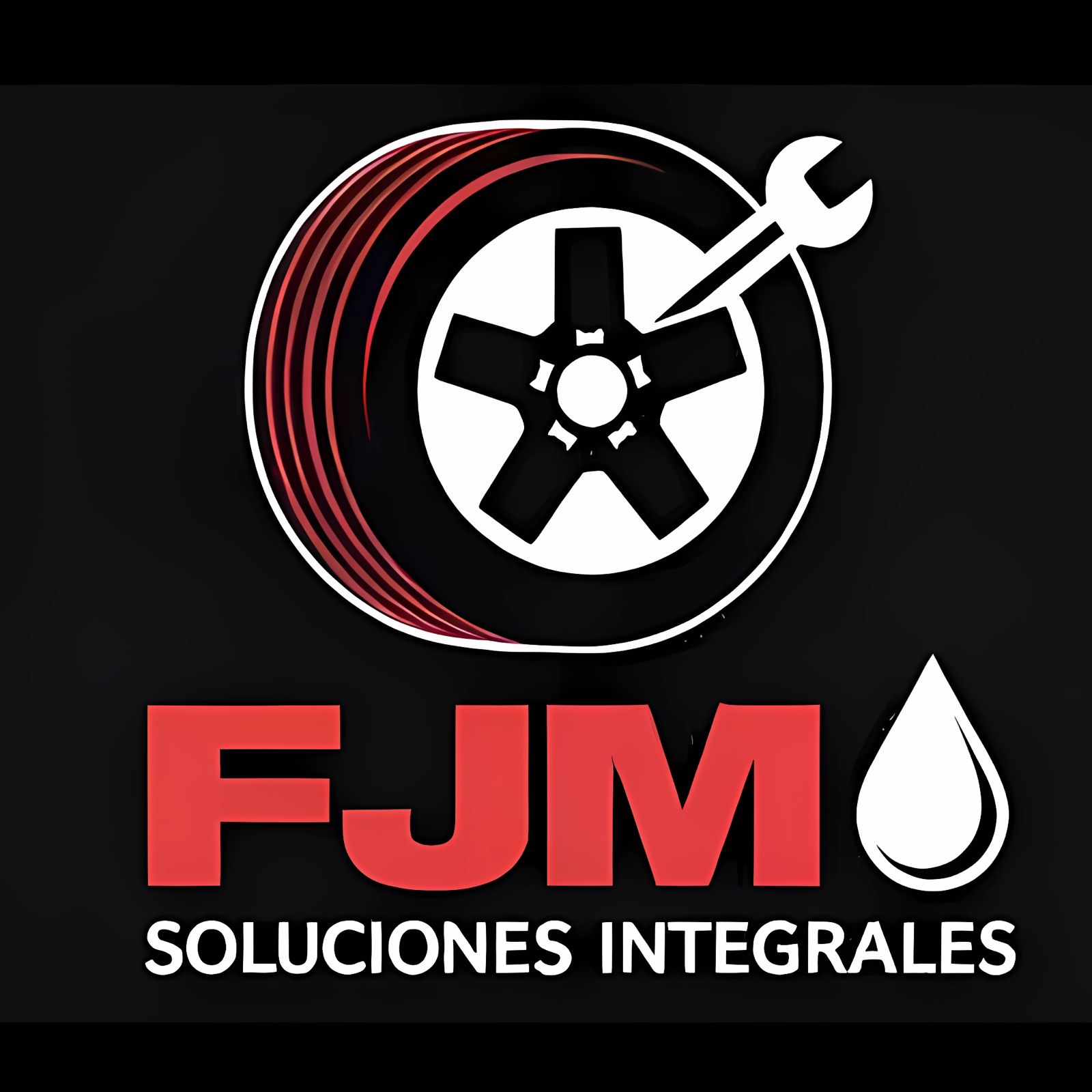 FJM SOLUCIONES INTEGRALES S.R.L.
